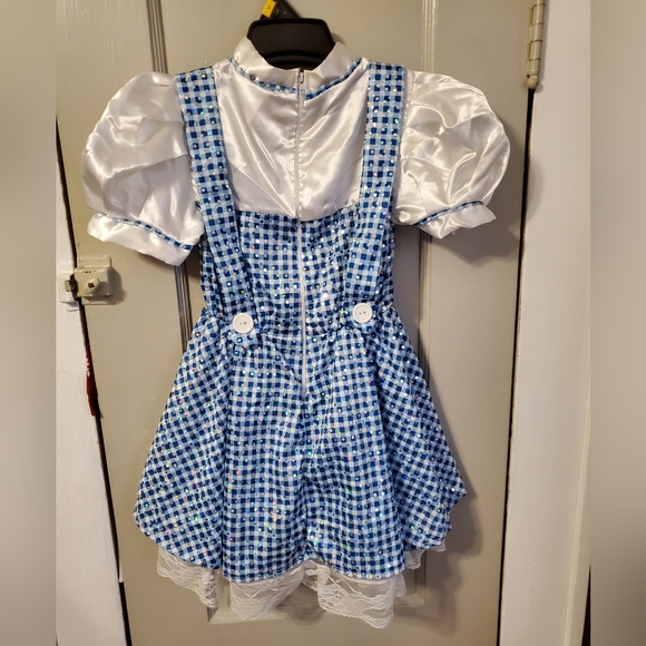 Kids Dorothy Wizard of Oz Costume Dress  size: small - Picture 4 of 8